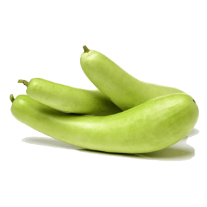 Bottle Gourd/Lauki/लौकी