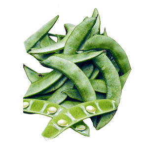 Runner Bean/Balor/बालोर