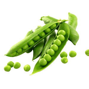 Peas/Mutter/मटर