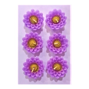 Sribalaji Floating Candle Basic 6 N
