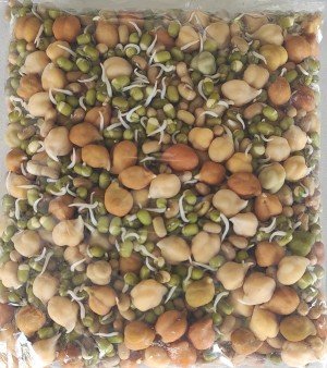 Sprouts (Mix)