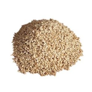 Brown Sesame Seed / Bhuri Tilli 100 G